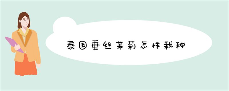 泰国垂丝茉莉怎样栽种