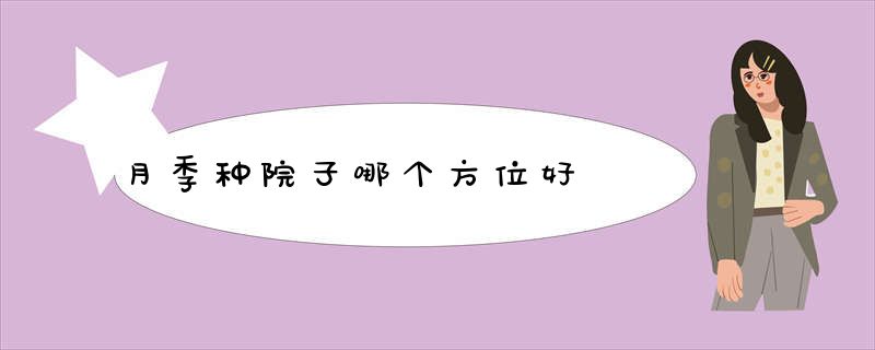 月季种院子哪个方位好